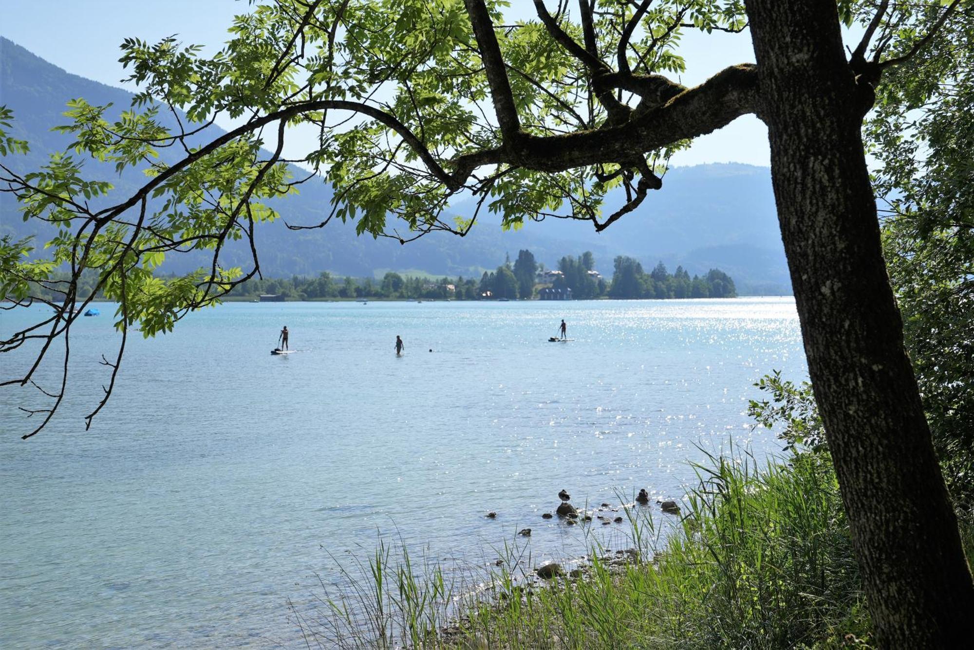 Bergblick 411 Am Wolfgangsee شتروبل الغرفة الصورة