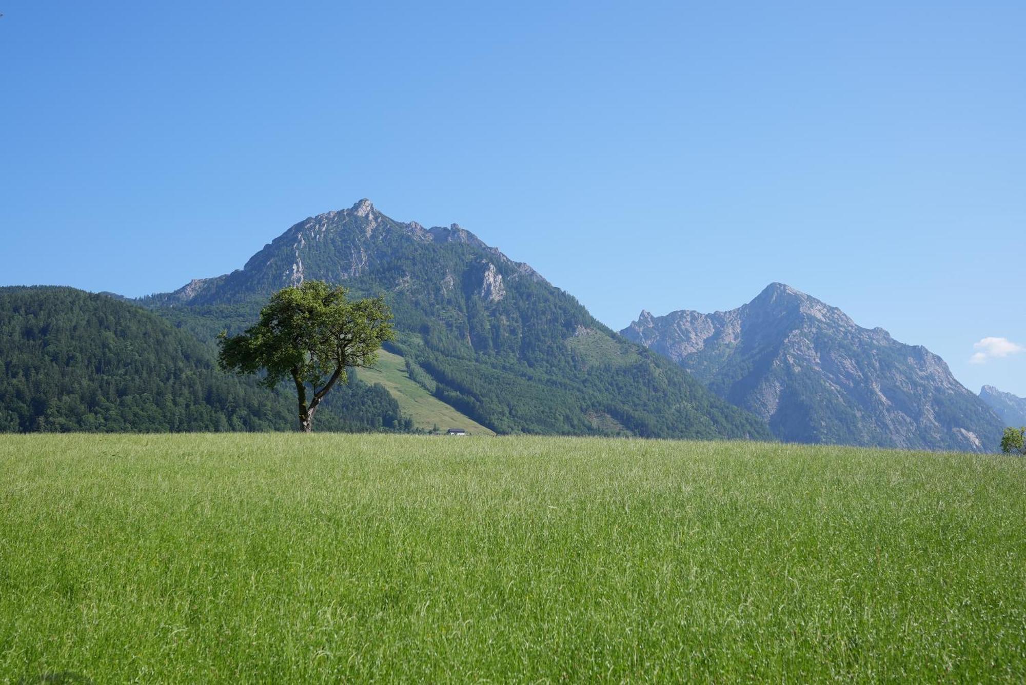 Bergblick 411 Am Wolfgangsee شتروبل الغرفة الصورة